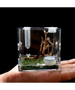 AWXZOM Spider Terrarium, Acrylic Reptile Breeding Box Jumping Spider Enc... - €15,39 EUR