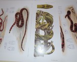 12 Color Mintern Plates from Biologia Centrali-Americana Reptiles &amp; Amph... - $39.59