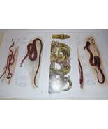 12 Color Mintern Plates from Biologia Centrali-Americana Reptiles &amp; Amph... - £31.14 GBP