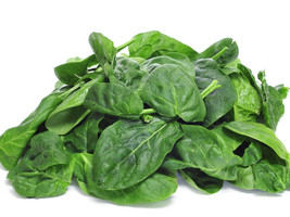 Giant Spinach Seeds Organic Giant Spinach Giant Noble Spinach Variety Fast Shipp - $2.98