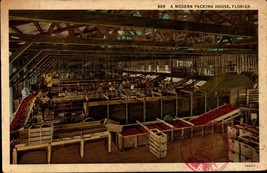 Vintage 1939 Linen Postcard -A Modern Packing House - Florida BK39 - £2.34 GBP