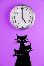 Silhouette of 3 Cats - Vinyl Wall Art Decal - $32.00