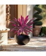 Artificial Cordyline Fruticosa Florida Red Plant Wedding Hotel Garden Gift - $34.22 CAD