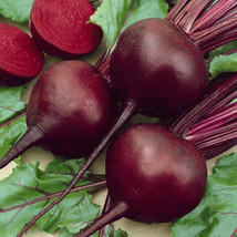 200 Seeds Detroit Dark Red Beet Nourish Your Soil With Organic Planting Seeds - £7.09 GBP