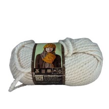 Lion Brand Softee Chunky Yarn Ivory Cream Color 1 Skein - £7.55 GBP