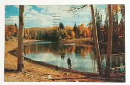 Canjilon Lake Fishing New Mexico Autumn Foliage NM Petley Postcard c1950s - $7.99