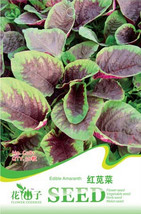 New Fresh Edible Amaranth Red Green Vegetable Seeds Pack 30 Seeds / Pack Organic - $4.00