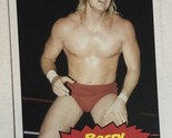 Barry Windham 2012 Topps WWE Card #60 - $1.97