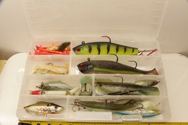 20 Pc Lot Misc Large Fish Fishing Lures With plastic Case Storm Lure and... - £23.00 GBP