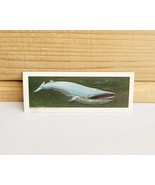 Vintage National Biscuit Co (Nabisco) Mini Trade Card 1972 S9N41 Blue Whale - $371.27 MXN