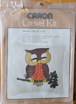 Sleeping Owl 14&quot; x 14&quot; Pillow Caron Crewel Kit #6364 Vintage 1977 - £15.71 GBP