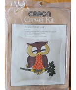 Sleeping Owl 14&quot; x 14&quot; Pillow Caron Crewel Kit #6364 Vintage 1977 - £15.72 GBP