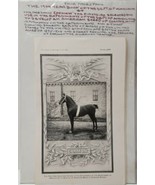 1904 Carmon Carriage Horse Plate LXXI  Agriculture Print Yearbook Pages - £10.76 GBP