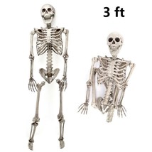 2Pack 3Ft Life Size Poseable Skeleton Human Bone Structure Halloween Party Decor - £69.69 GBP