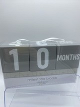 Milestone Blocks Boy Girl Neutral Gray White Baby Little Pear Date Year ... - $10.54