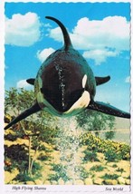 Postcard High Flying Shamu Killer Whale Sea World Orlando Florida - £3.86 GBP