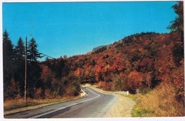 Postcard Greetings From Ontario Algoma&#39;s Forests Ablaze With Colour - £2.32 GBP