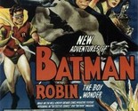 Batman and robin thumb155 crop