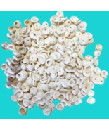 Pre-Drilled White Puka Shells  Loose Beads for Jewelry Making &amp; Crafts A... - $28.45+