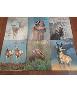 Lot of 6 National Wildlife Magazines Complete 1978 - FREE SHIPPING - $243.00 MXN