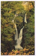 Postcard The English Lakes Stock Ghyll Force Ambleside England - £1.65 GBP