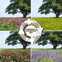 From Usa Endless Summer Perennial Mix Blooms All Season! Non-GMO Fresh Seed 2gr - £3.18 GBP