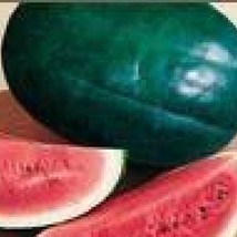 50 Florida Giant Watermelon Cannon Ball Black Diamond Citrullus Fruit Seeds US S - £5.90 GBP