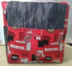 Ohio State Buckeyes Football Brutus Scarlet Gray Purse/Project Travel Bag 12x12 - £29.55 GBP