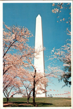 Vtg Postcard The Washington Monument behind Cherry Blossoms PM 1982 Continental - £5.17 GBP