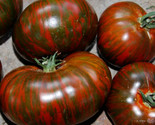Chocolate Stripes Tomato Seeds 50 Indeterminate Vegetable Garden Fast Sh... - £7.10 GBP