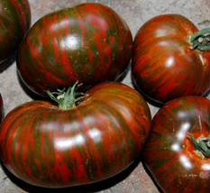 Chocolate Stripes Tomato Seeds 50 Indeterminate Vegetable Garden Fast Shipping - £7.02 GBP