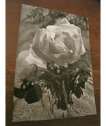 1966 20 Lire Milan Pink Black &amp; White Bromophoto Postcard Postcard F.3-5... - $247.84 MXN