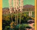 Four Sisters Southwestern Yucca Plants Linen Postcard - $3.91