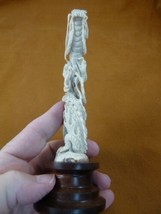 DRAG-5) mythical Dragon totem shed ANTLER figurine Bali detailed carving... - $211.77