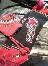 Phoenix Coyotes Knit Scarf And Hat fits jr&#39;s and adults ex cond 2 pcs  - $15.00