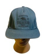Kiabi Woodcutter Denver National Park Gray Embroidered Baseball Hat Cap ... - $36.32 CAD