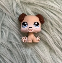 Littlest Pet Shop 143 Baby Boxer Puppy Dog Brown Cream Blue Dot Eyes Red Magnet - £9.49 GBP
