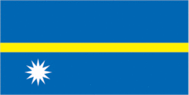 Nauru Flag - 12x18 Inch - $4.99