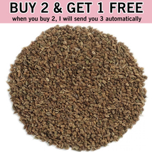 Buy 2 Get 1 Free | 100 Gram Celery seeds - £25.53 GBP