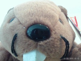 TY Beanie Babies Bucky The Brown Beaver Deutschland, No Stamp in Tush Tag,Rare! - £9.56 GBP