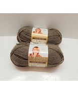 Lion Brand Vanna’s Choice Yarn Taupe 125 Acrylic 3.5 oz Lot of 2 - £13.45 GBP