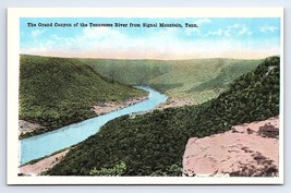 Postcard Grand Canyon Of The Tennessee River From Signal Mountain Tennessee TN - £2.89 GBP