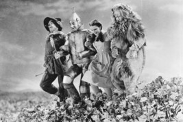 Ray Bolger, Bert Lahr, Judy Garland and Jack Haley in The Wizard of Oz 1... - $23.99