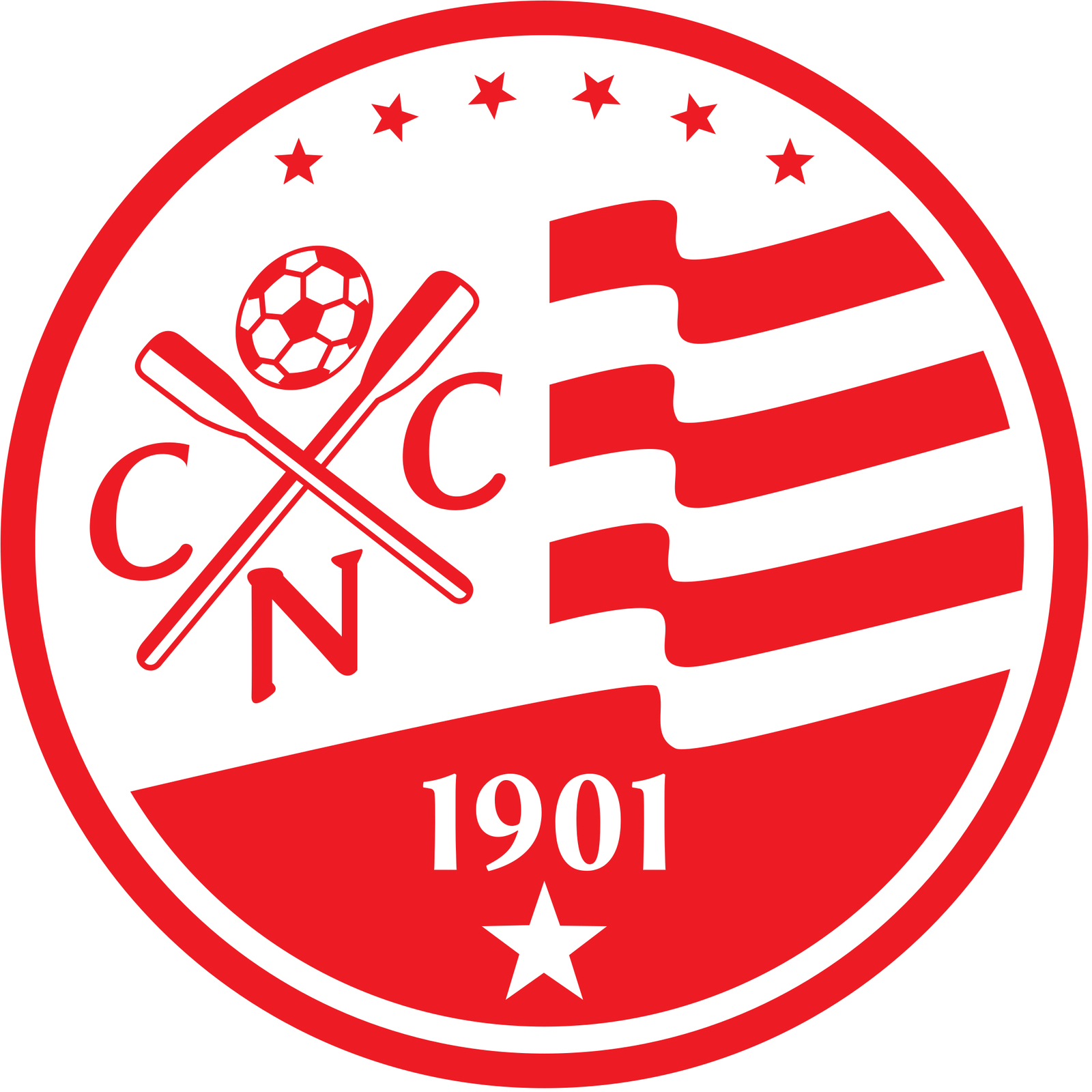Clube Nautico Capibaribe Brazil Football Badge Iron On Embroidered Patch - $15.99+