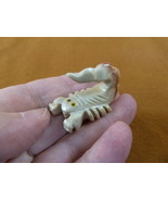 (Y-SCO-6) little white SCORPION stone carving SOAPSTONE Peru love baby s... - £6.75 GBP