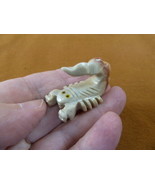 (Y-SCO-6) little white SCORPION stone carving SOAPSTONE Peru love baby s... - $162.31 MXN