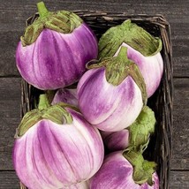 THJAR 35 Fresh Heirloom | NON-GMO | Rosa Bianca Premium Eggplant Seeds-B 51 - $4.99