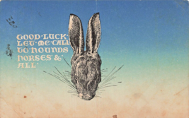 Rabbit~Good LUCK-LET The Call To Hounds Horses And ALL~1908 British Postcard - $9.55