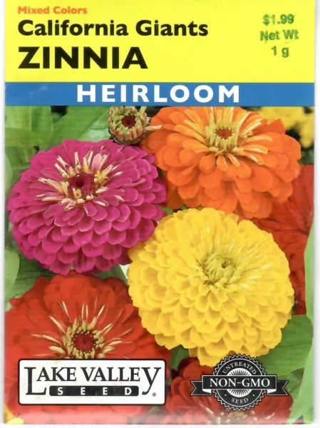 Viola Johnny Jump Up Heirloom Non-Gmo Flower Seeds - Lake Valley 12/24 Fresh Gar - $7.70