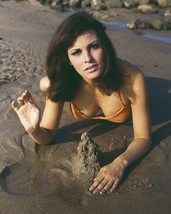Raquel Welch huge cleavage in bikini lying in sand on beach 11x14 Photo - £11.79 GBP